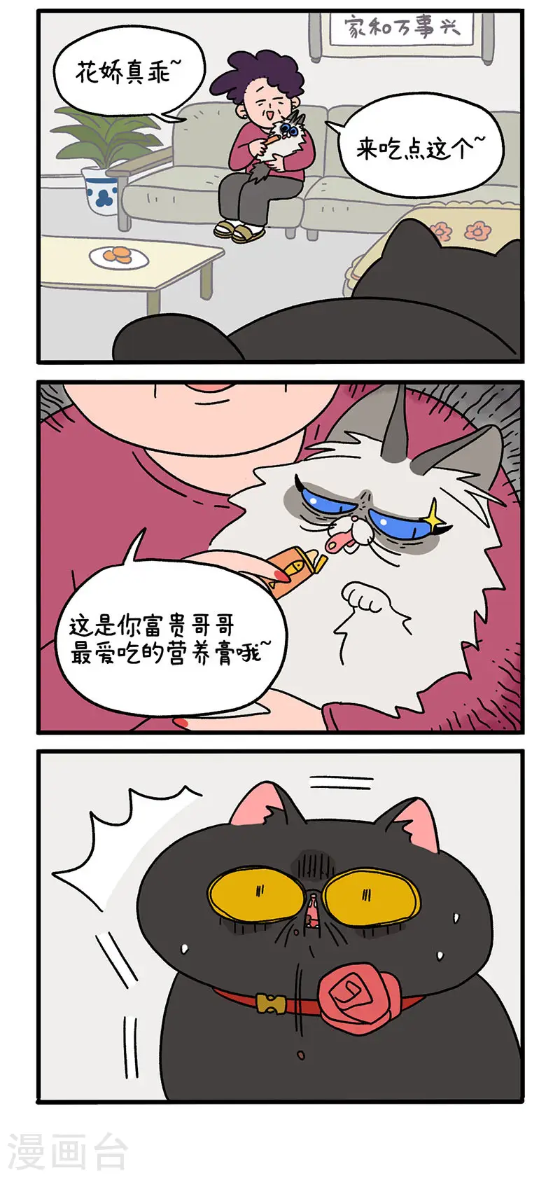 第16话1 住院的理由1