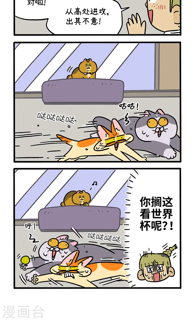 第133话2 德皮特减肥记23