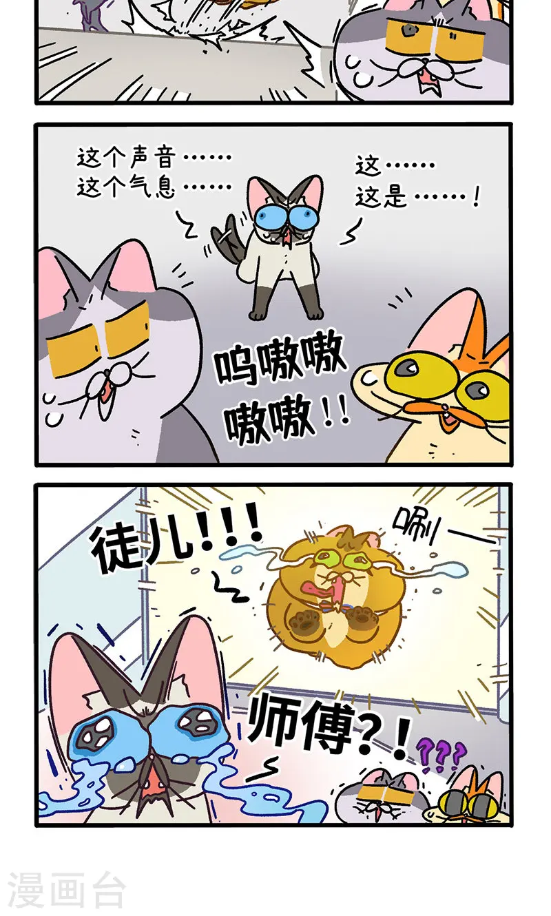 第152话1 如果交换身体的话33