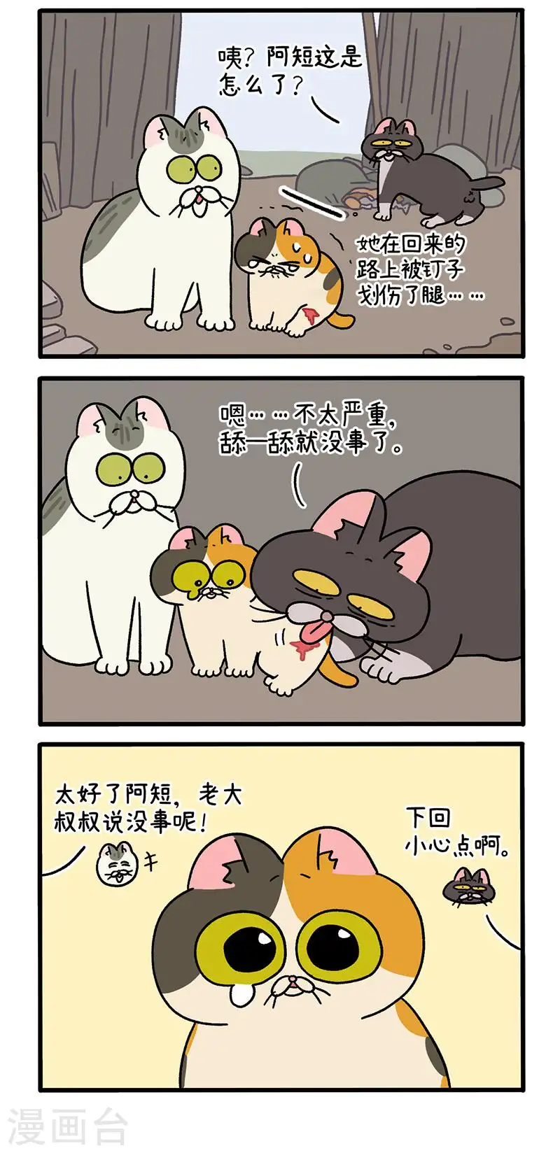 番外8下 黑亮亮帮的往事2