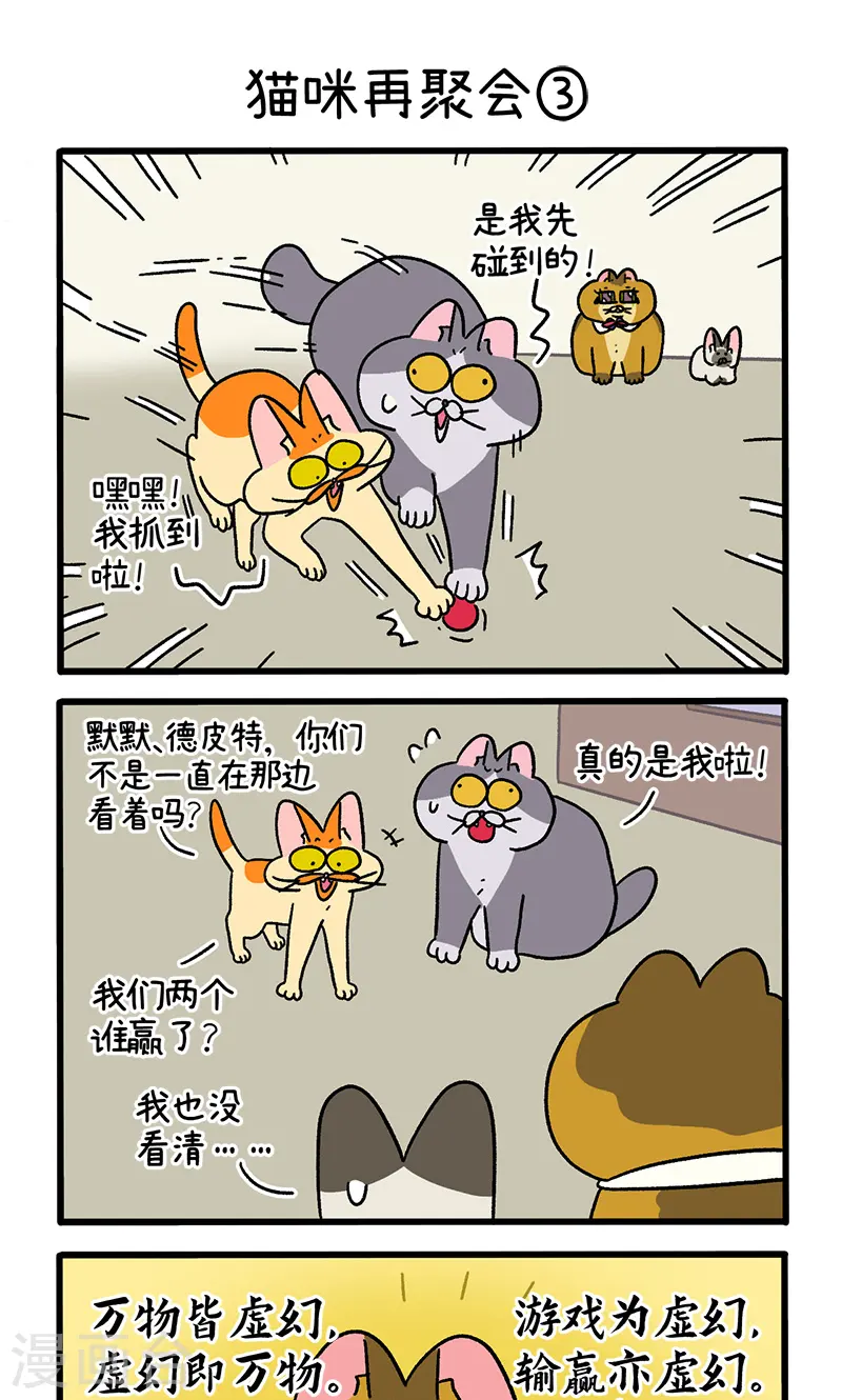 第82话1 猫咪再聚会4