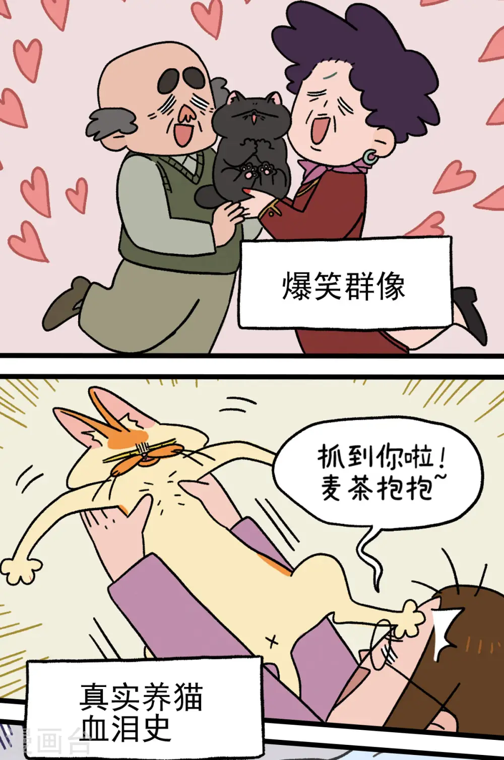 预告7