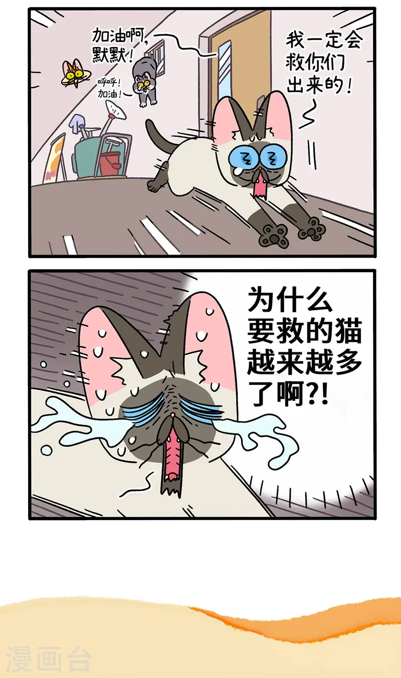第72话1 默默的营救行动4