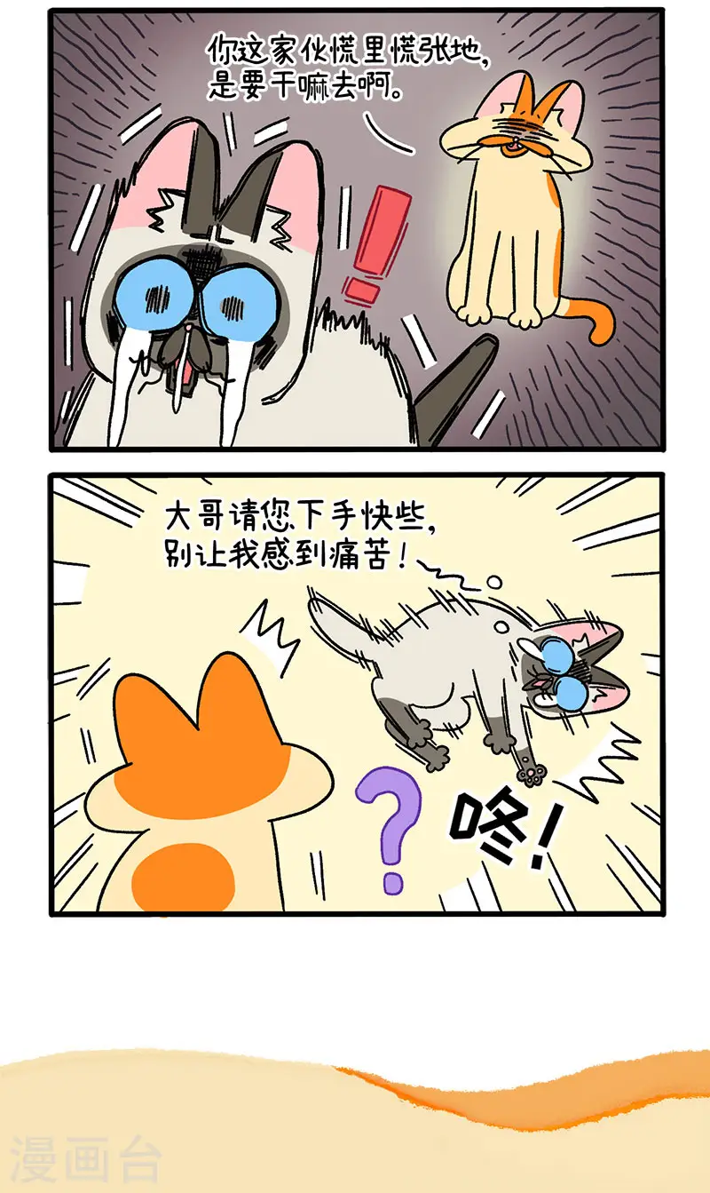 第66话1 公司的猫咪聚会24