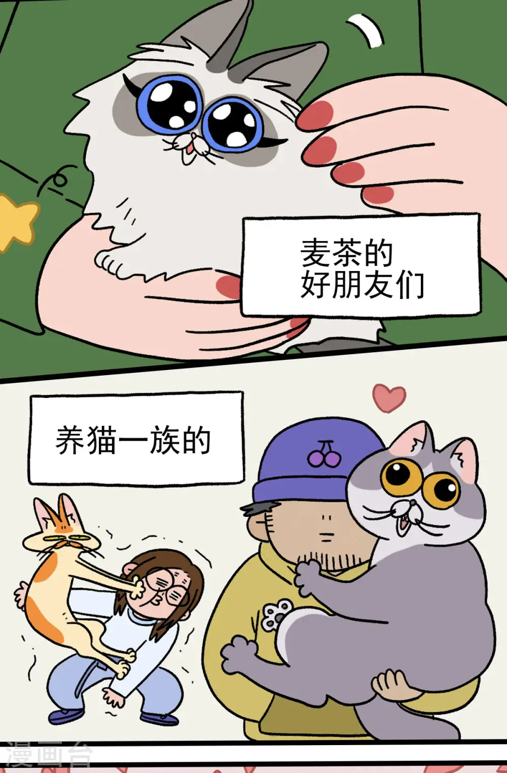 预告6