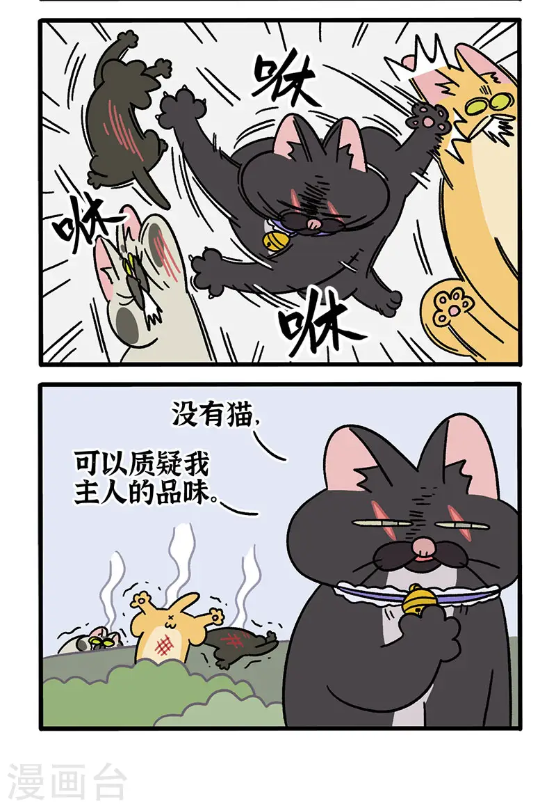 番外10 疤脸猫传说3