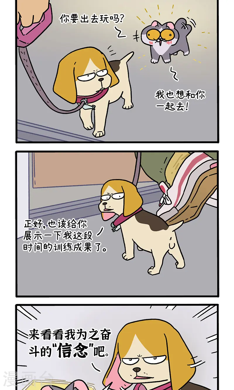 第129话2 关于猫狗是怎么相处的1