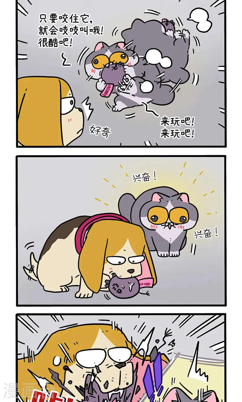 第128话2 关于猫狗是怎么相识的1