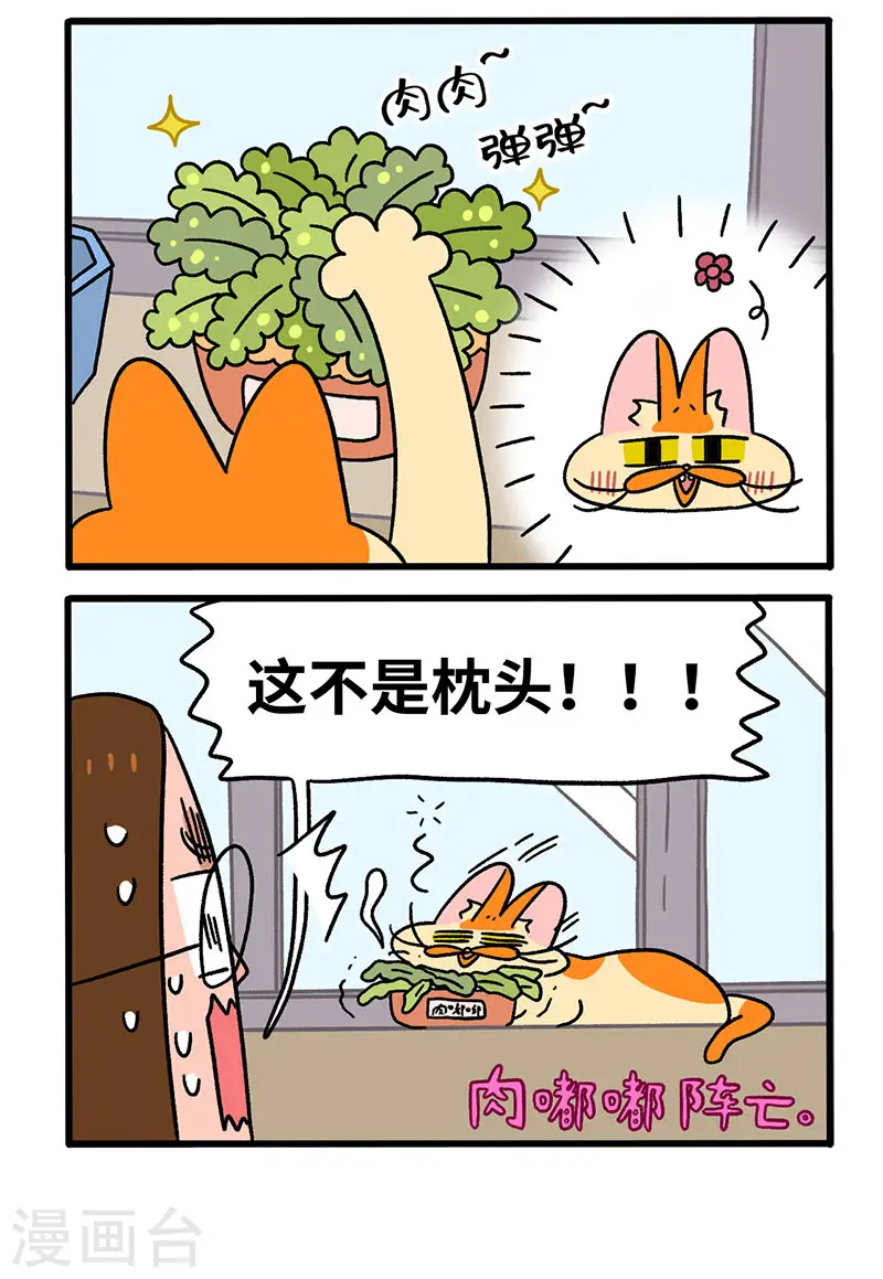 第57话 多肉植物1