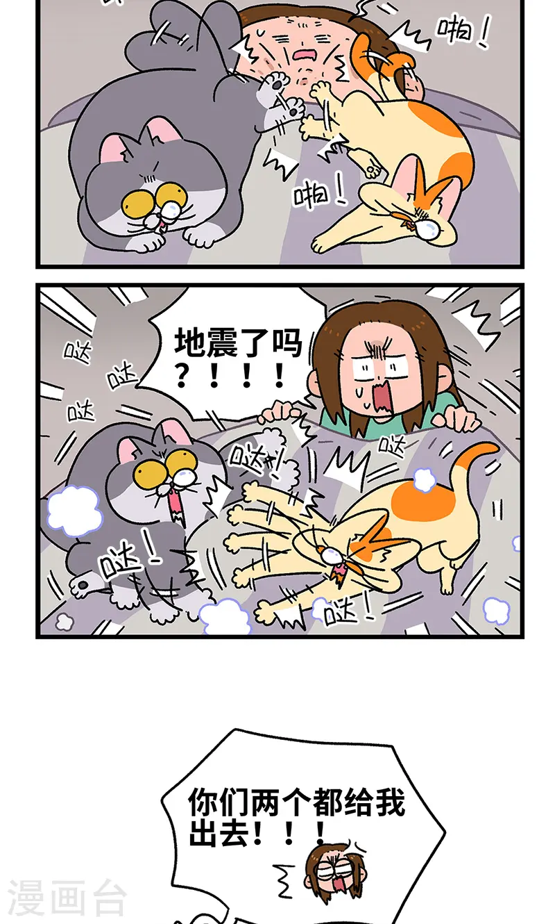 第93话 两只猫陪睡5