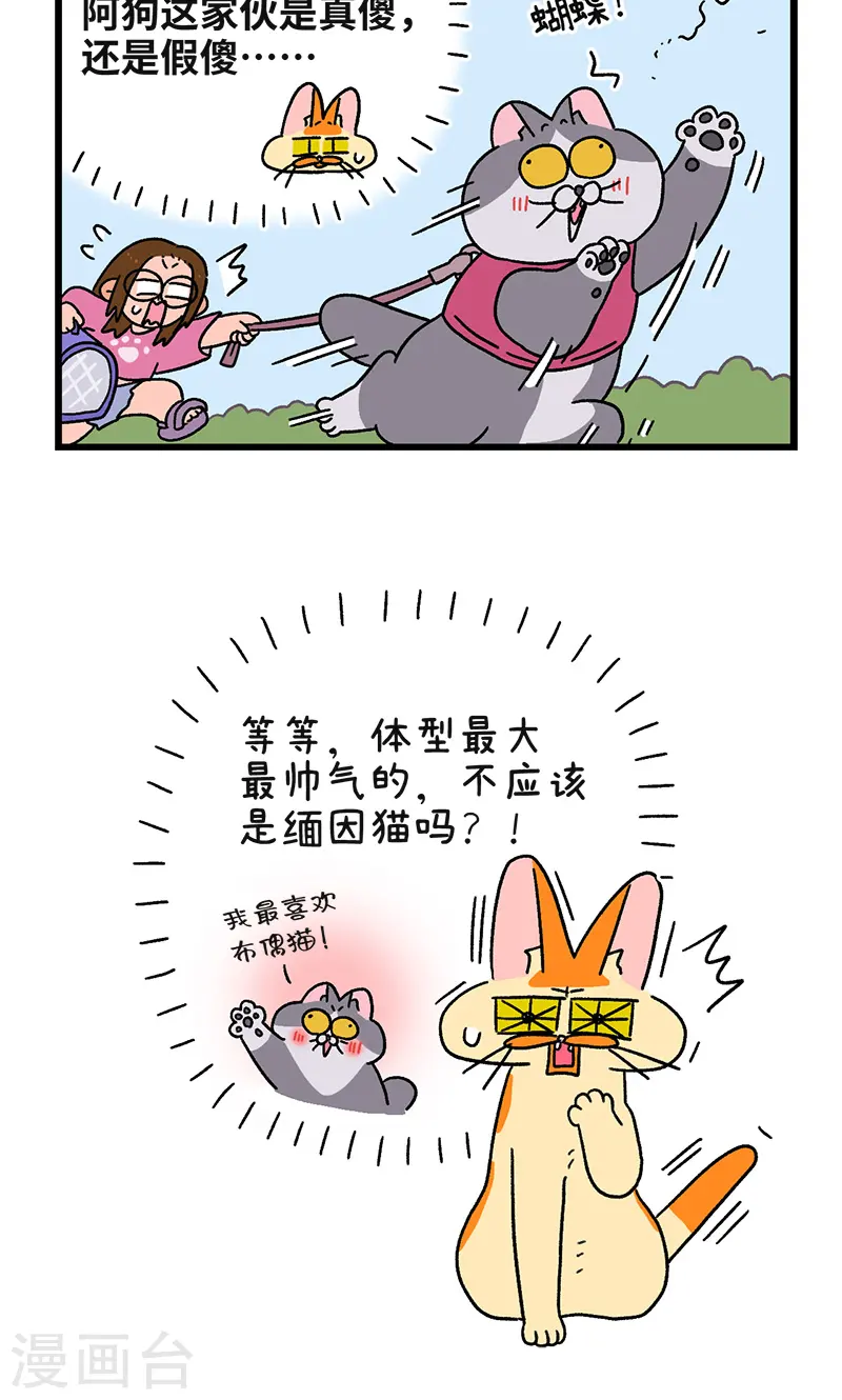 第109话2 初恋的尾声5