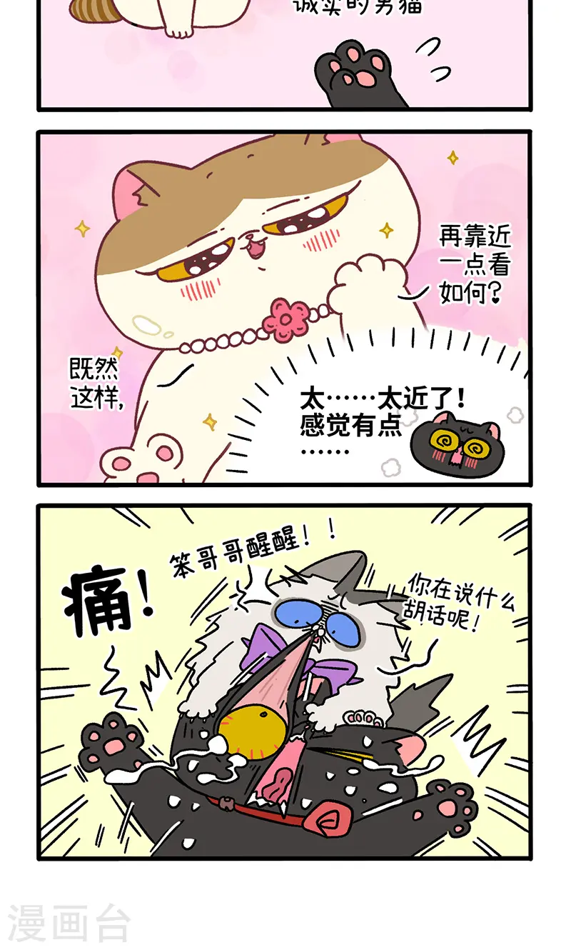 番外22上 富贵花开23