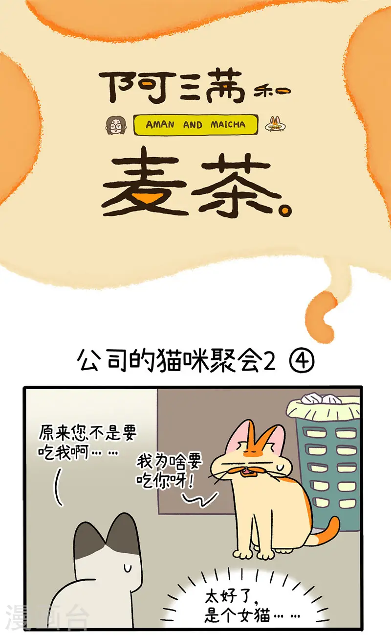 第66话2 公司的猫咪聚会20