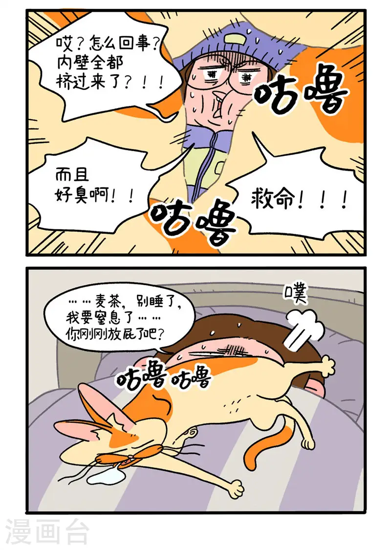 第11话2 感冒3