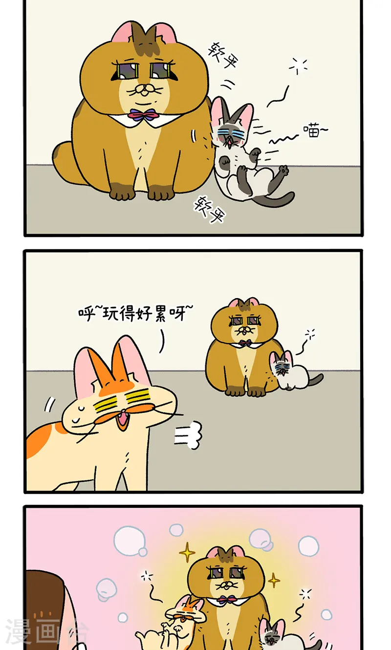 第82话2 猫咪再聚会1