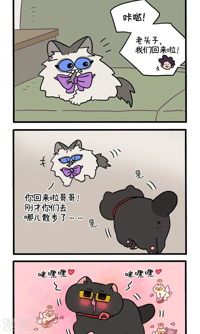 番外22上 富贵花开21