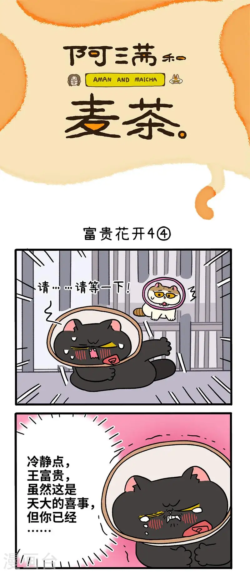 番外24下 富贵花开40