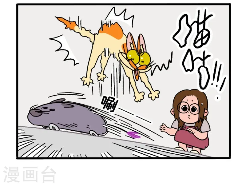 第25话 电动老鼠3