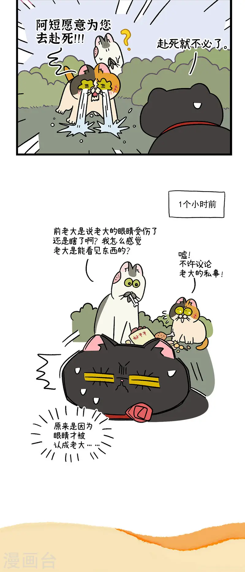 第41话 收到战书5