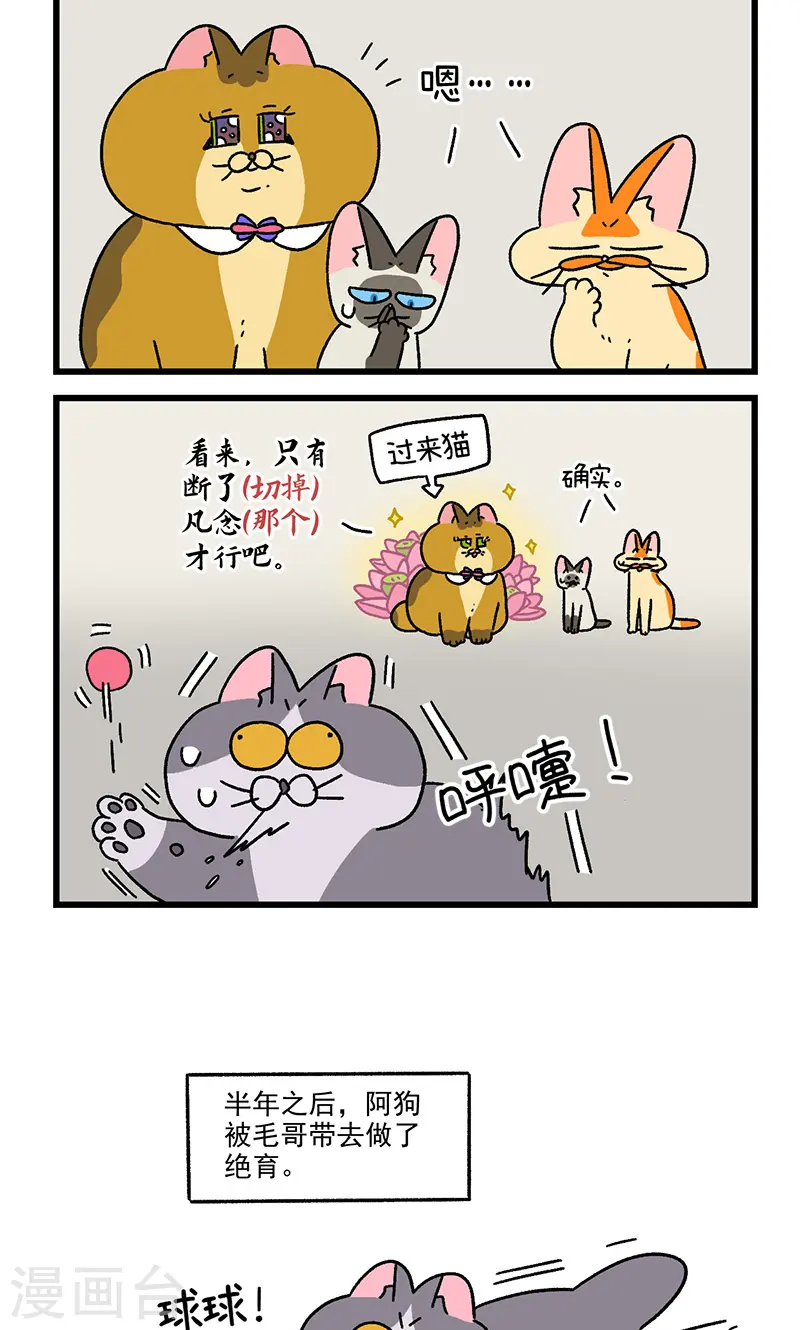 第110话2 公司茶话会5