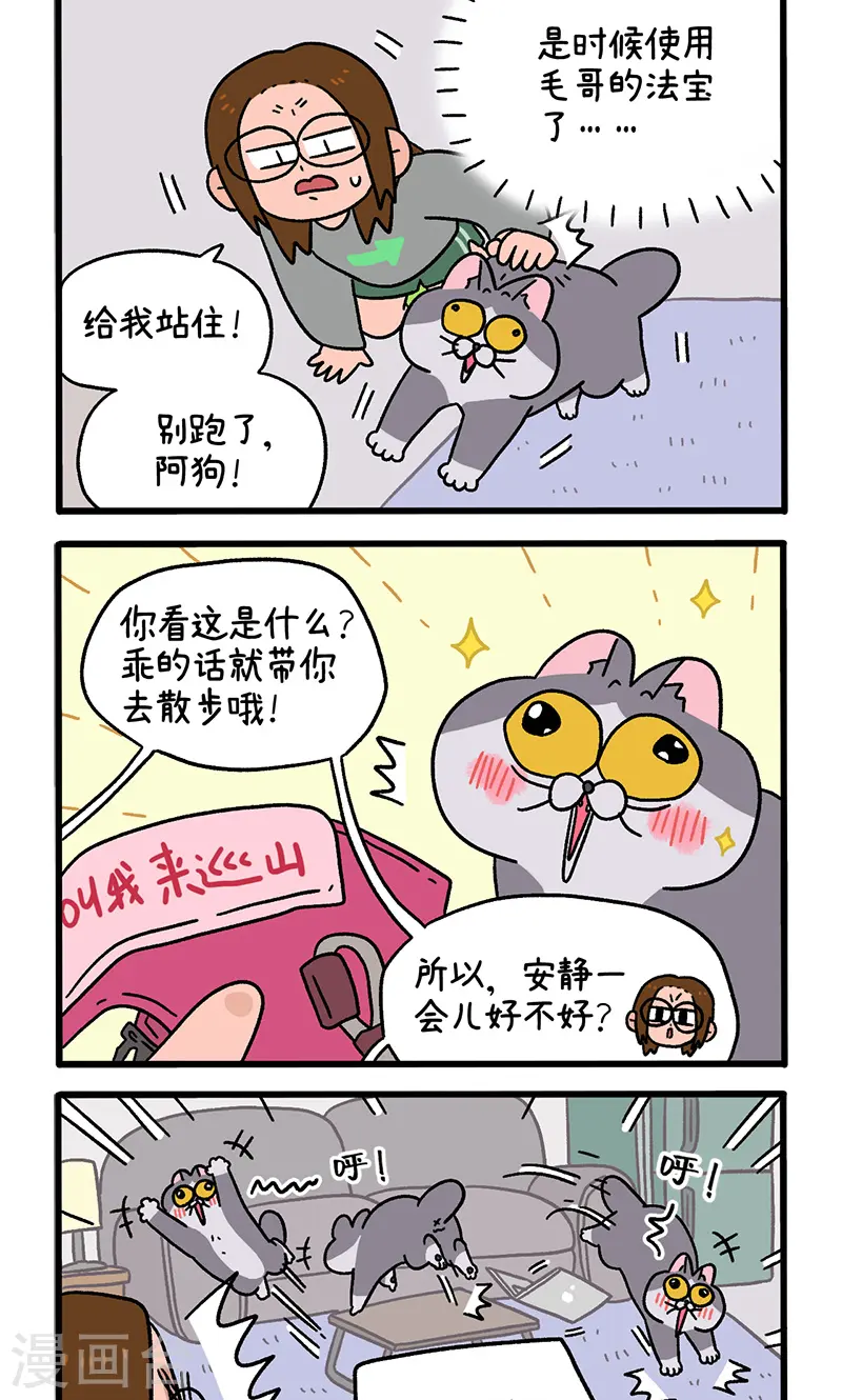 第95话1 遛猫还是遛狗1