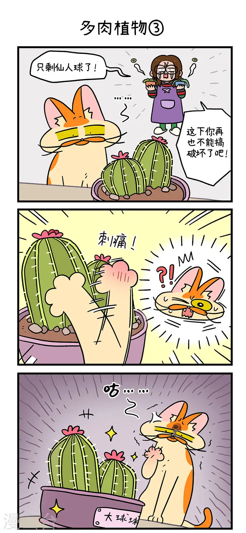 第57话 多肉植物3