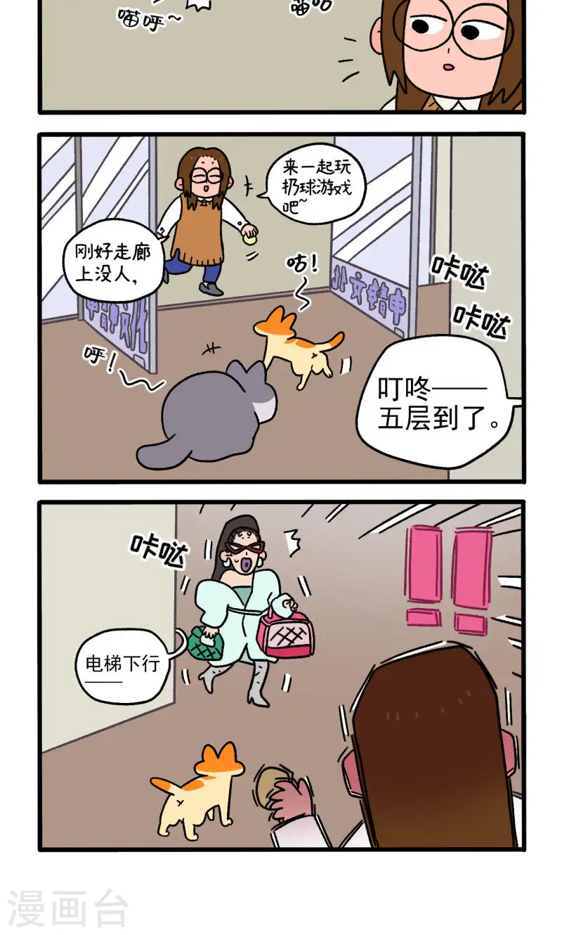 第81话1 帅哥悟了13