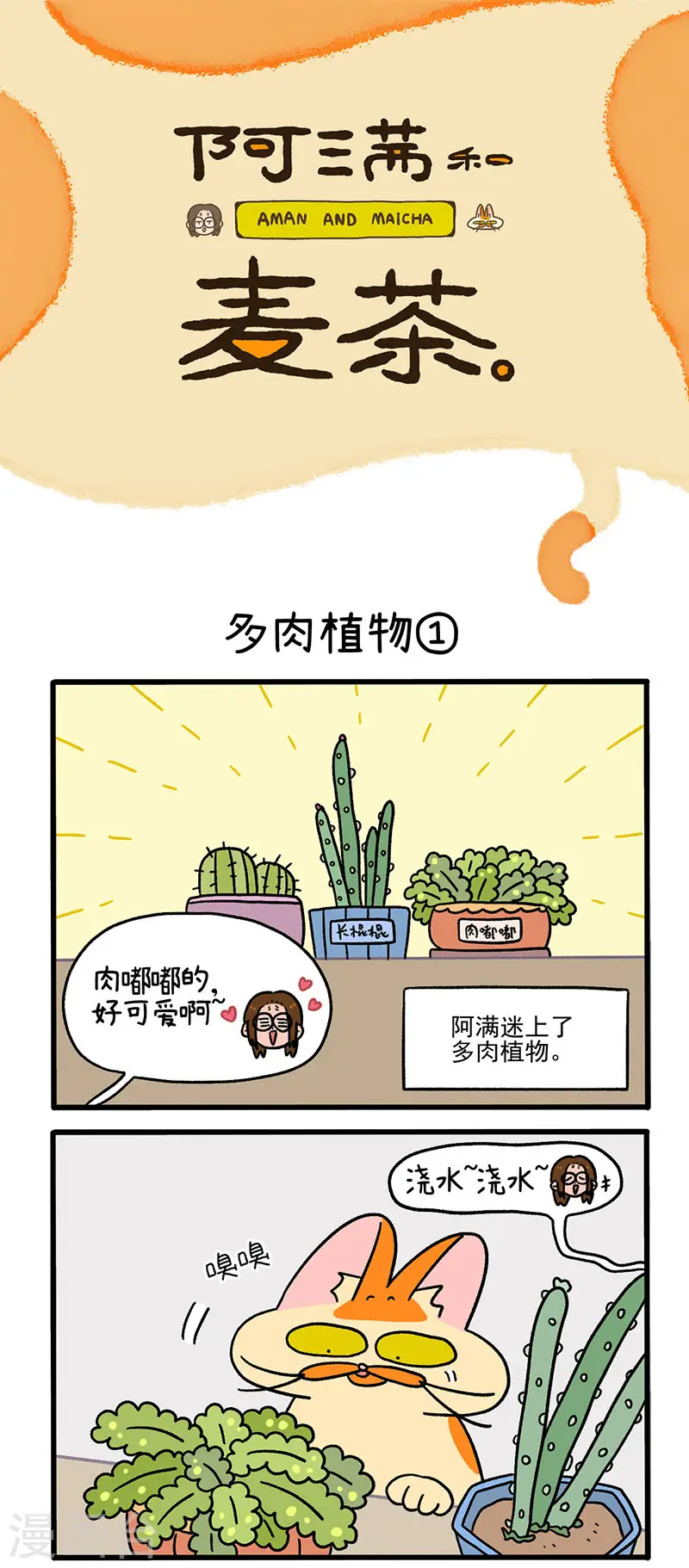 第57话 多肉植物0