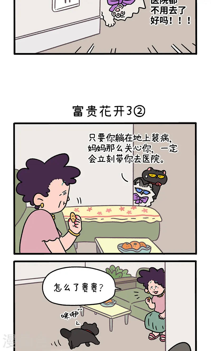 番外23上 富贵花开32