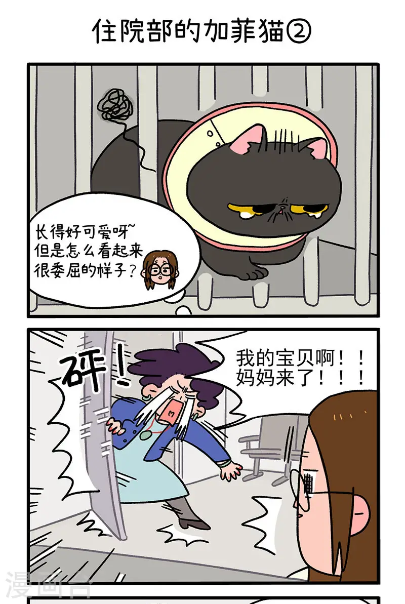 第14话 住院部的加菲猫2