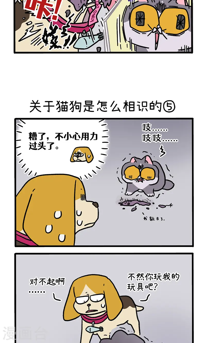 第128话2 关于猫狗是怎么相识的2