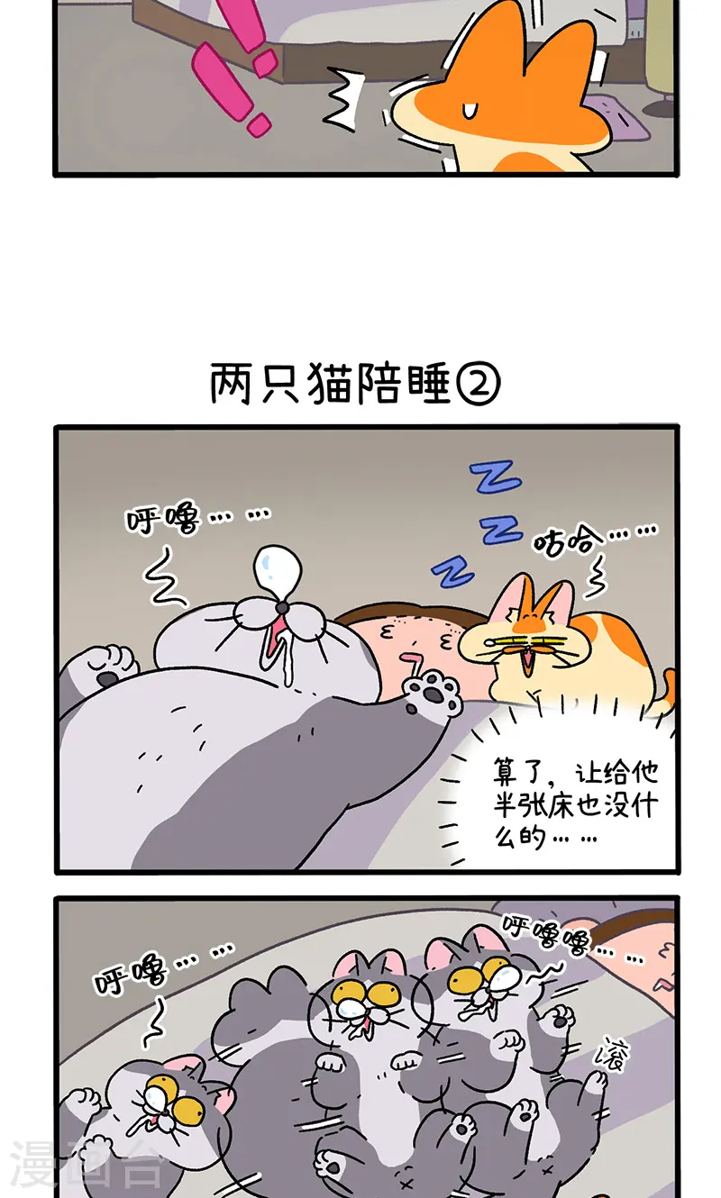 第93话 两只猫陪睡2