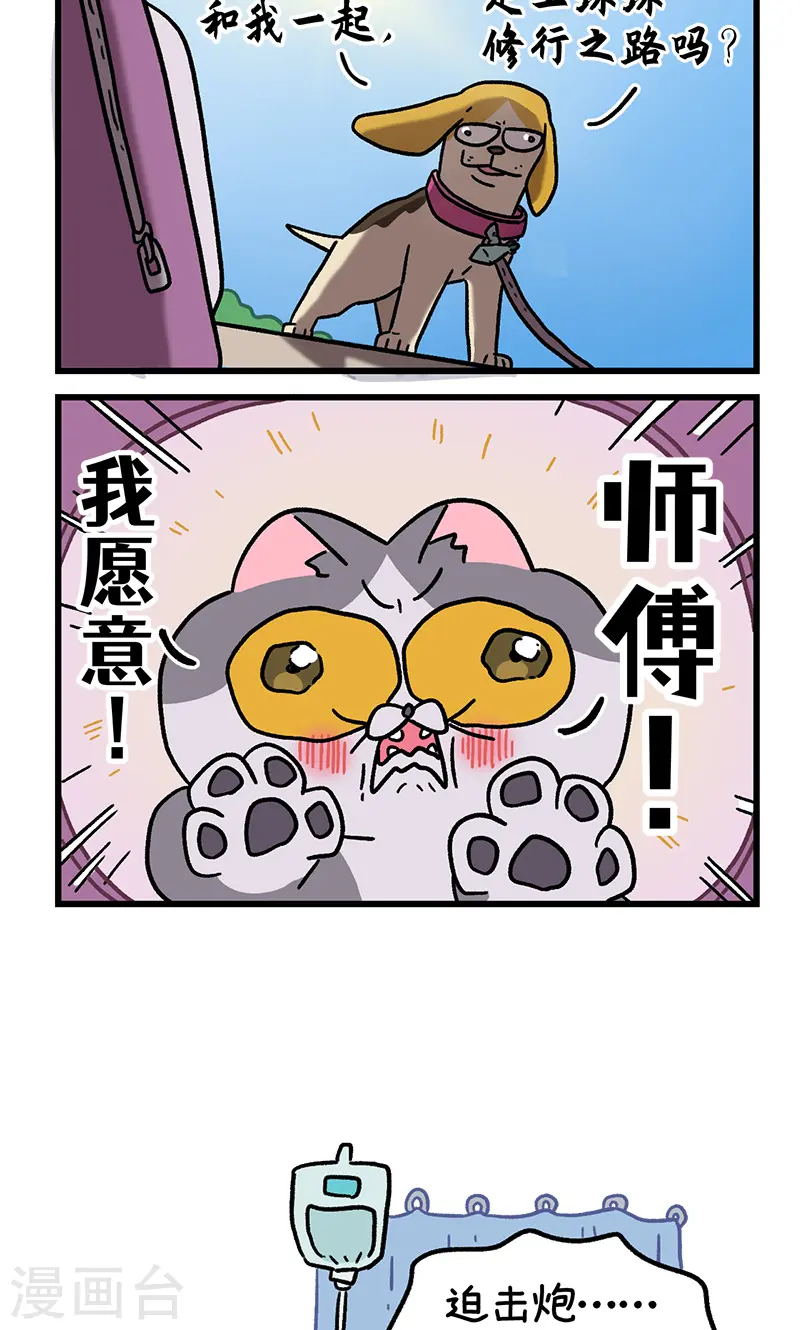 第130话2 关于师傅是怎么收徒的5