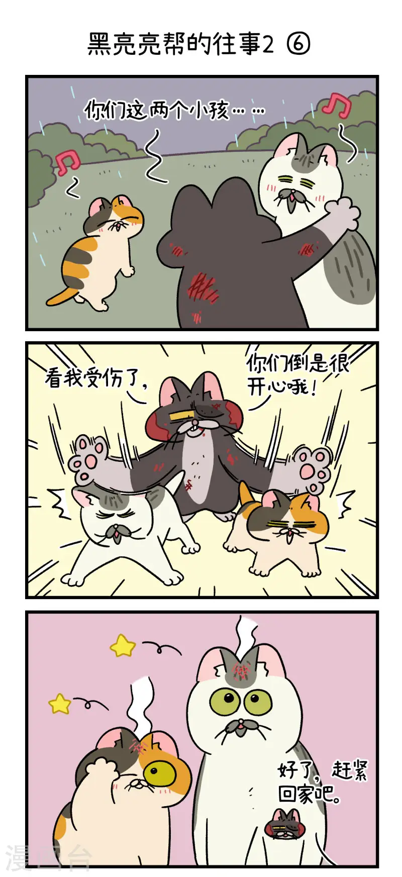 番外9下 黑亮亮帮的往事4