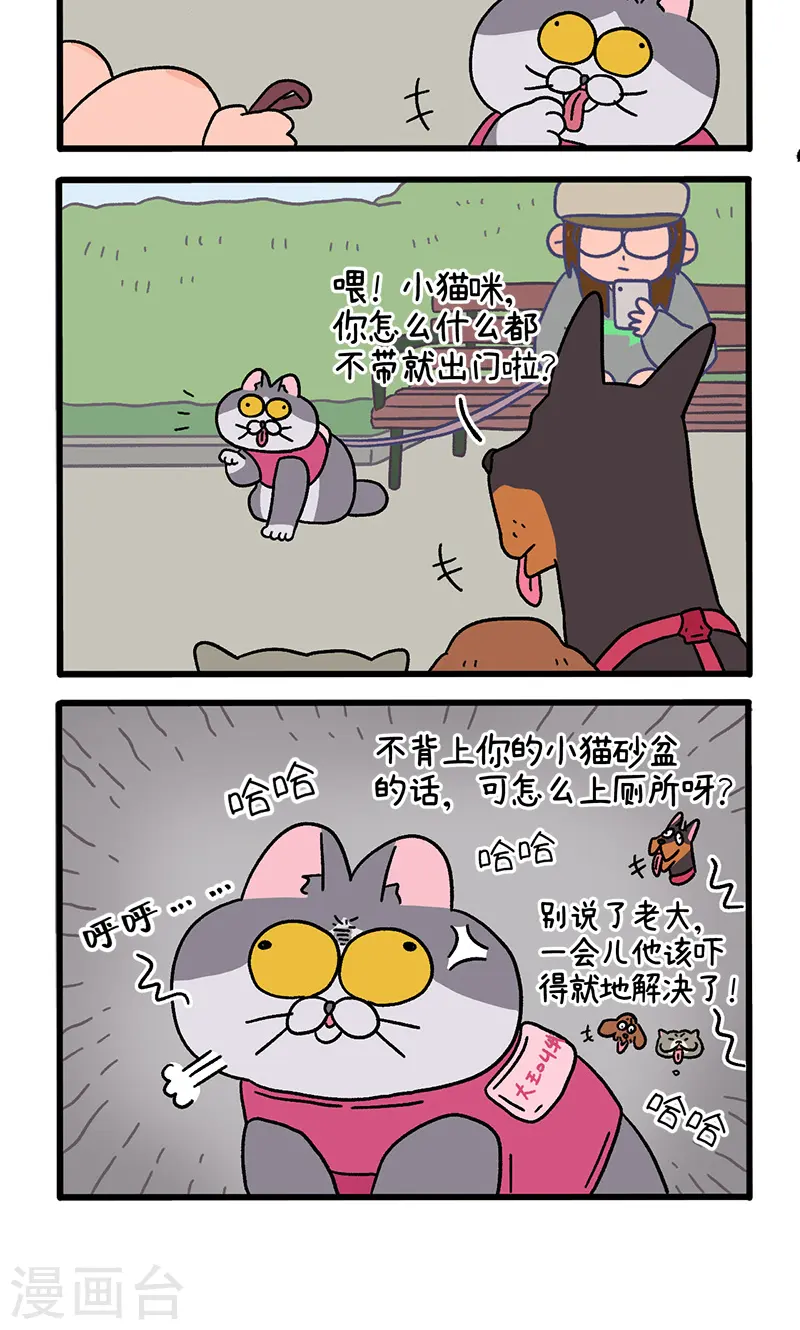 第95话2 遛猫还是遛狗3