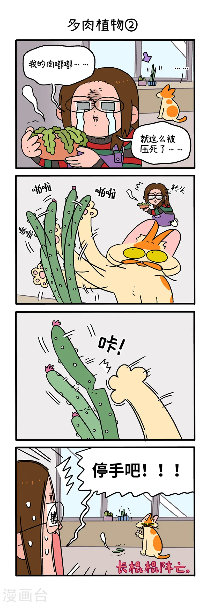 第57话 多肉植物2