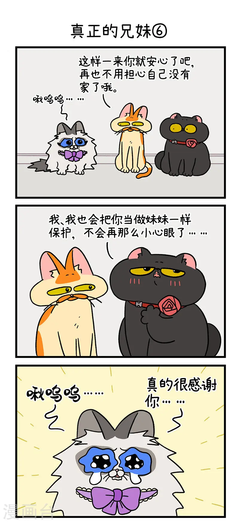 第49话2 真正的兄妹2