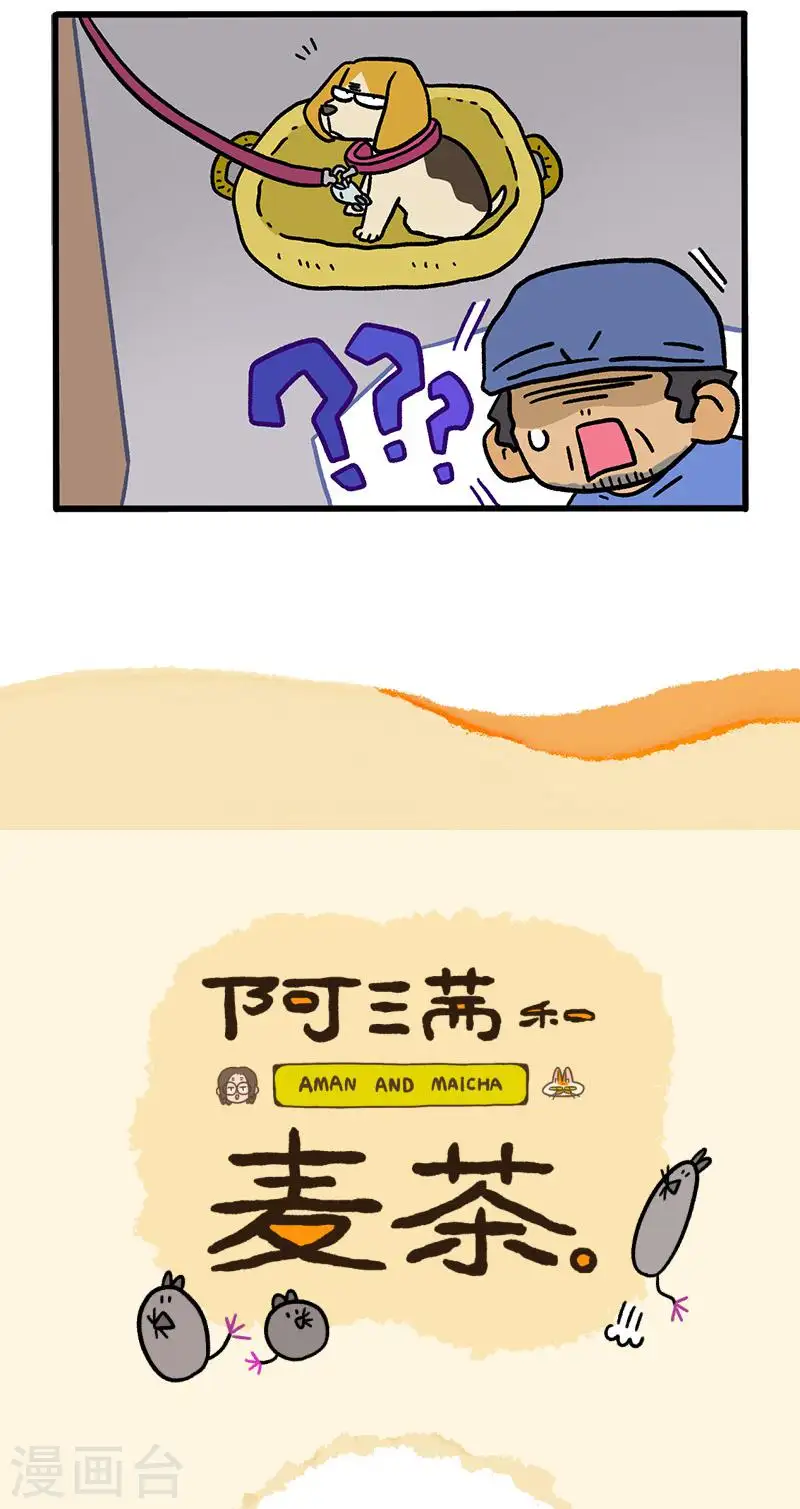 第127话1 关于毛哥是怎么有狗的4