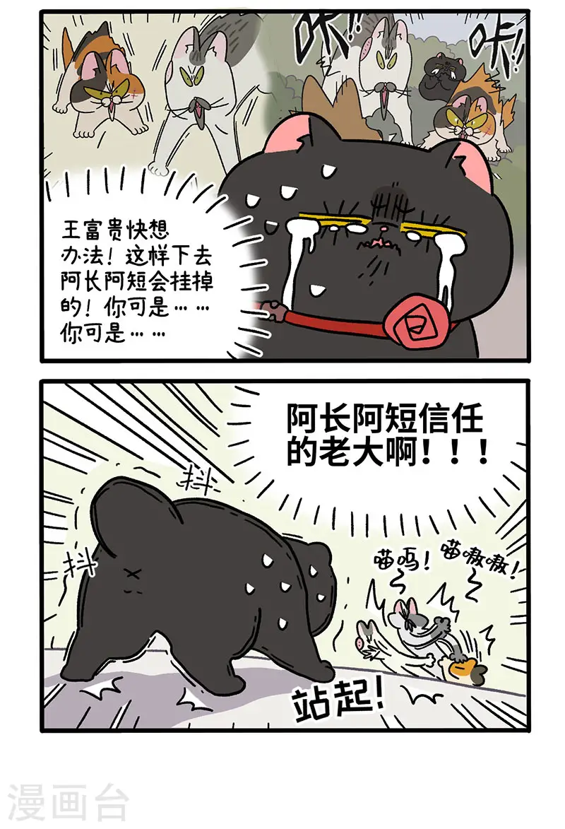 第40话2 老大的危机3