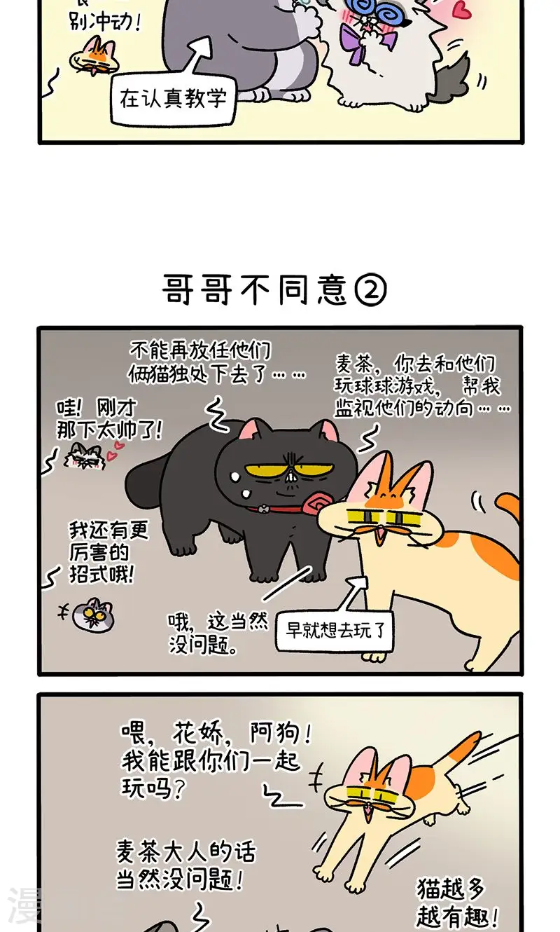 第101话1 哥哥不同意2