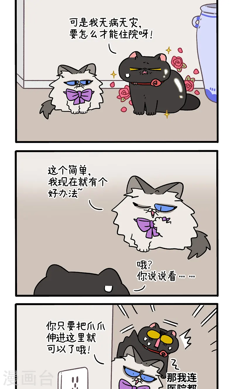 番外23上 富贵花开31
