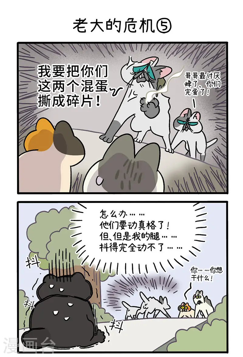 第40话2 老大的危机2