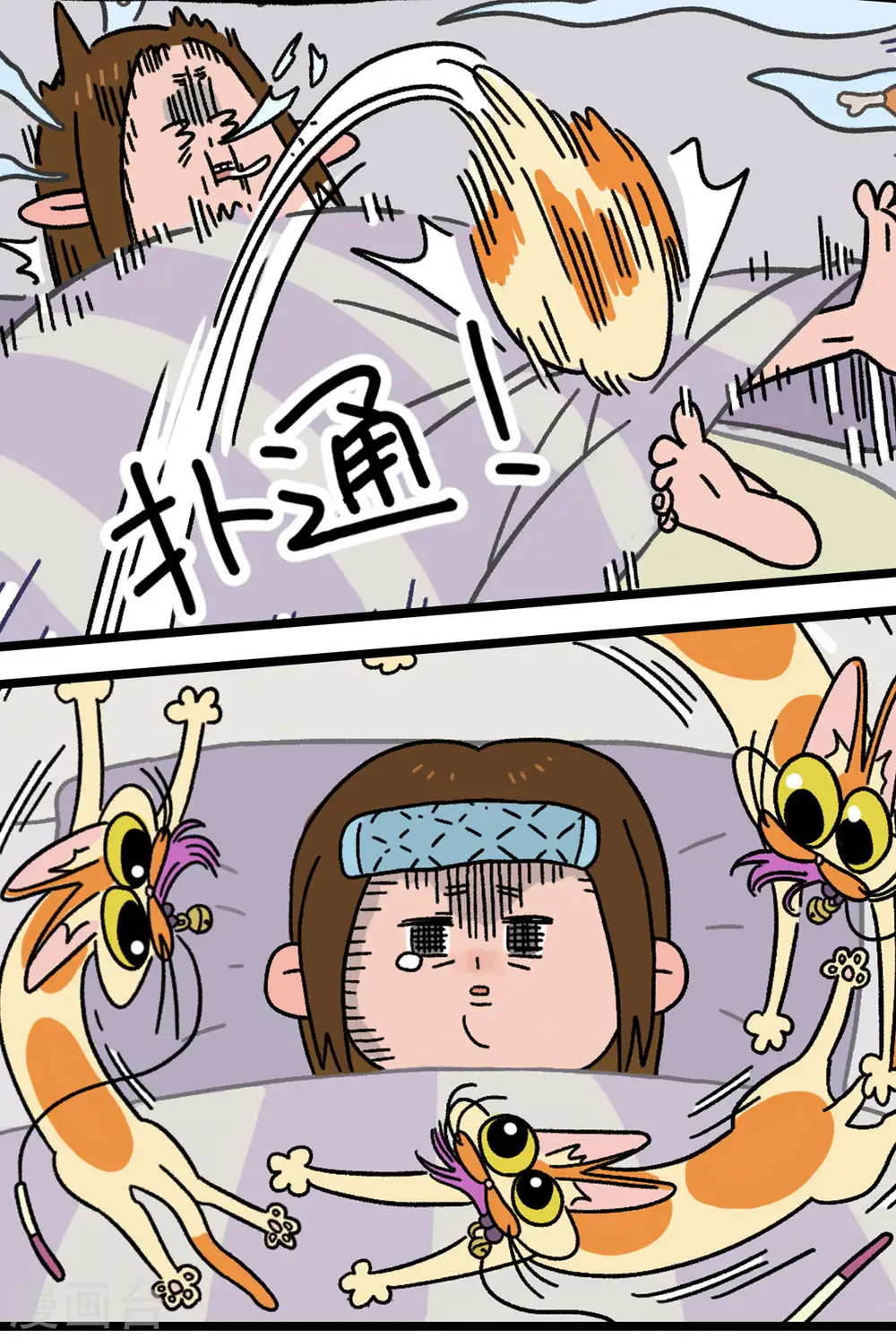 预告8