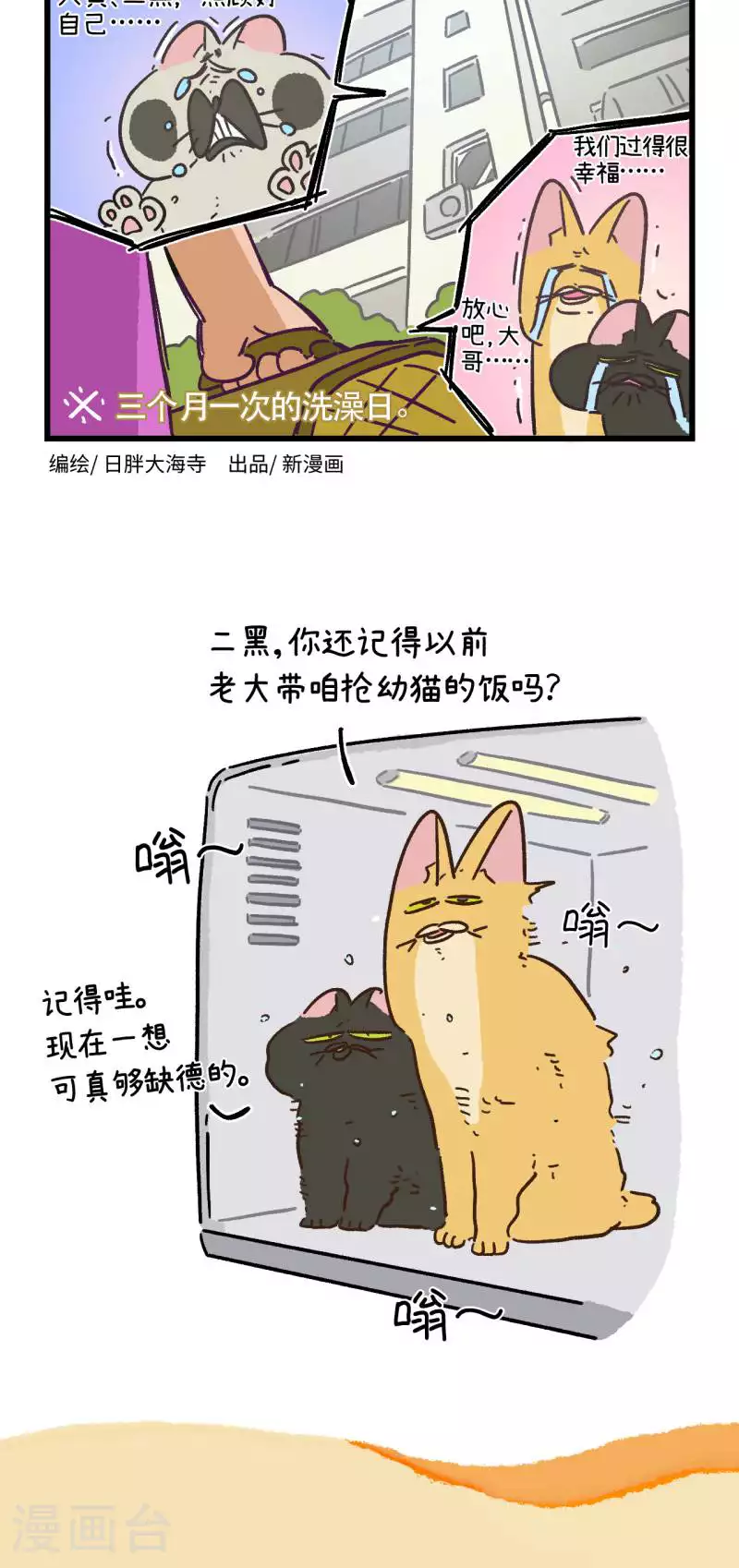 第166话5