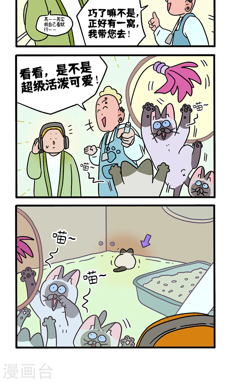 番外15上 默默的新生活13