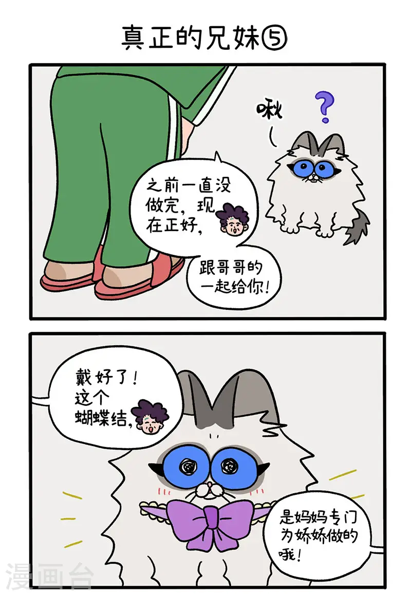 第49话2 真正的兄妹0
