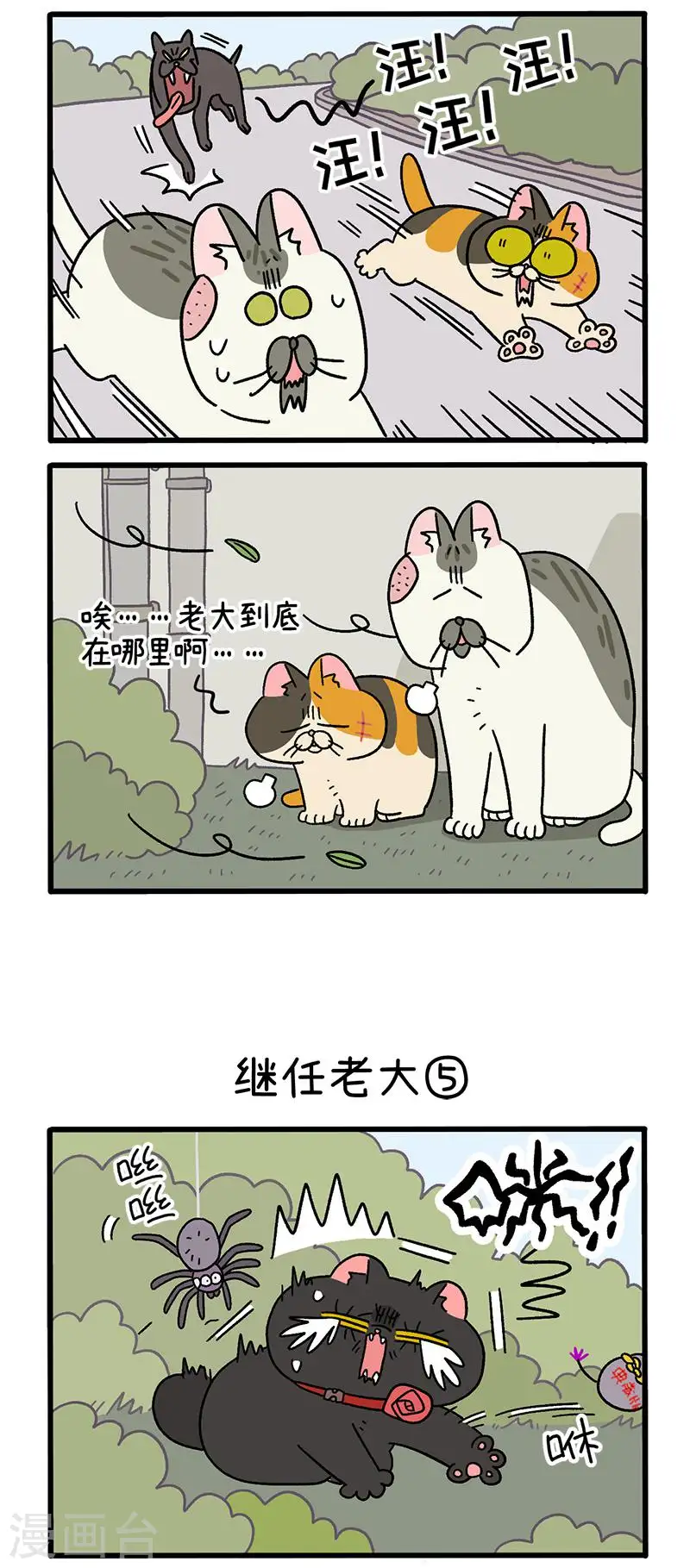 第37话2 继任老大1