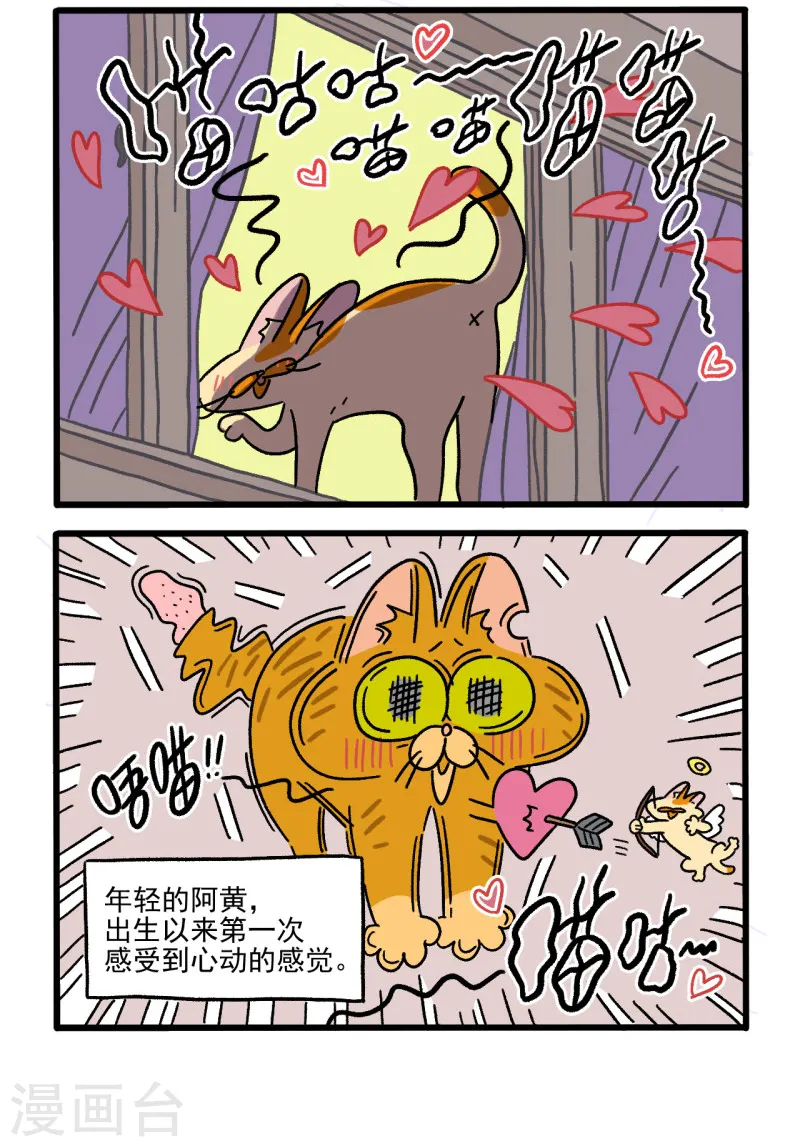 番外1 阿黄的初恋1