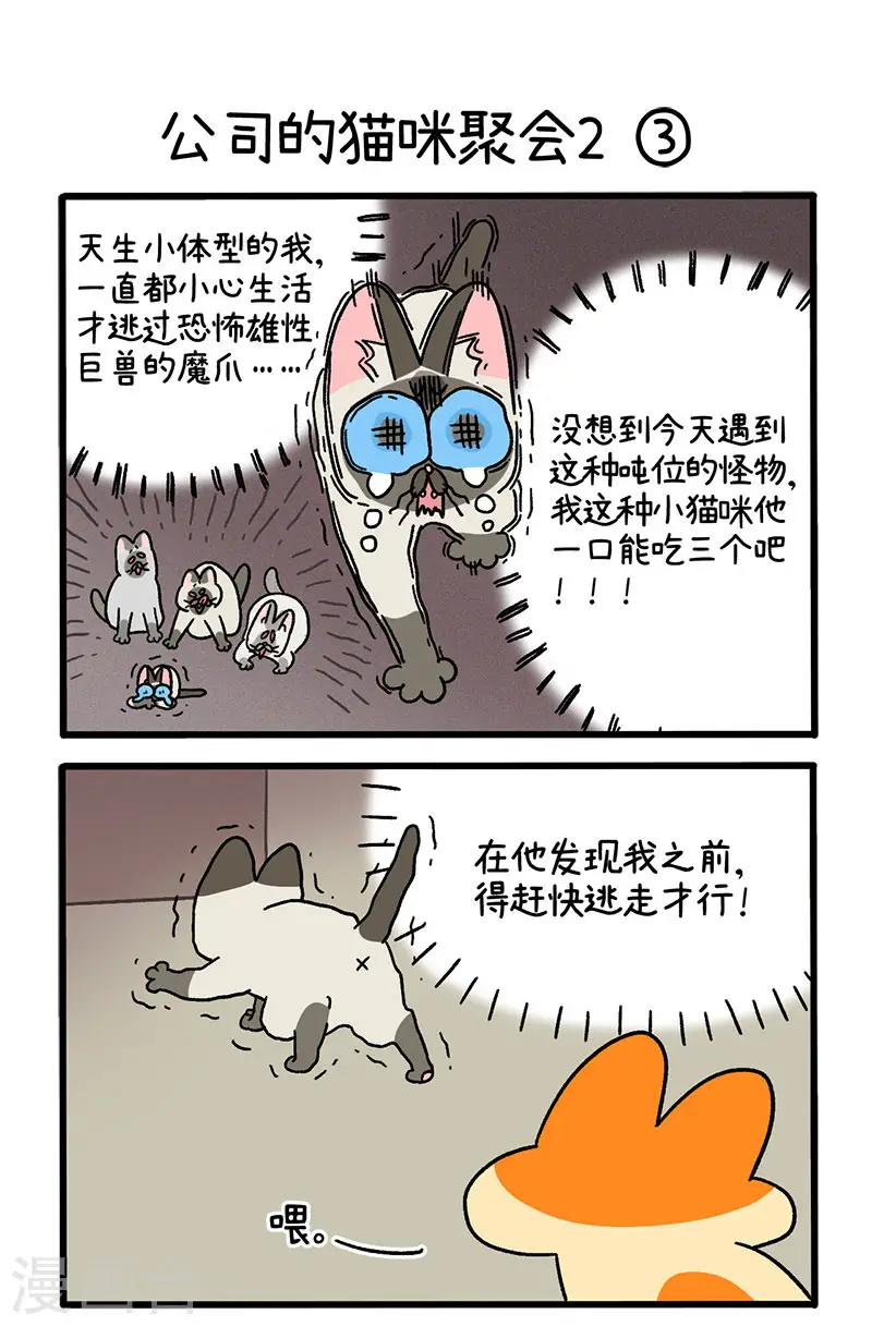 第66话1 公司的猫咪聚会23