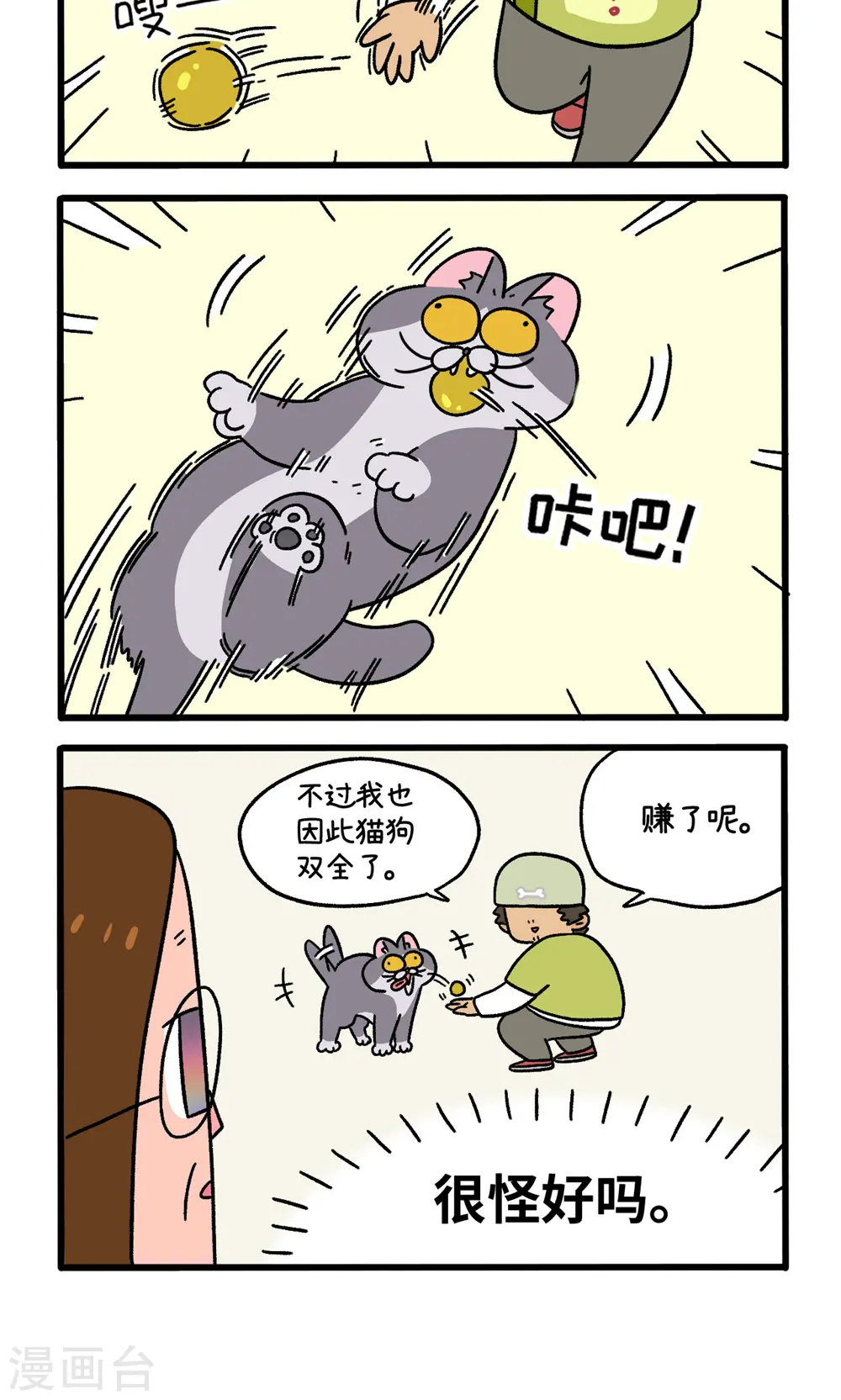 第65话1 公司的猫咪聚会3